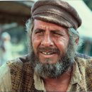 토요바이올린B 이미지