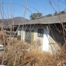 금산의집