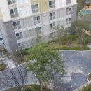 도리정원 이미지