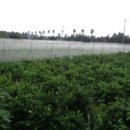 강정동-30 이미지