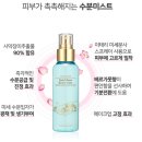 앤씨픽스