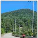 강구농업협동조합달산지점 이미지