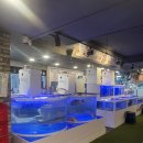 삼부자회활어포차 | 범계 횟집 추천 삼부자 회 활어포차 모듬회 솔직후기