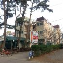 몽산포파인 이미지