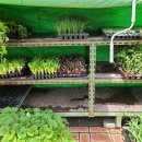 전북종묘농약사 이미지