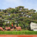 5월 4일 태을봉-무성봉(군포수릿길 1~14코스-1) 이미지