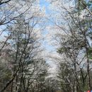 직지문화공원 이미지