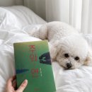 주와 연 후기 3가지 몰입 포인트와 솔직한 책 추천