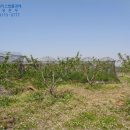 전지보건진료소 이미지