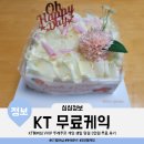 당월 | KT VVIP 뚜레쥬르 케이크 생일 당월 3만원 무료 혜택 후기