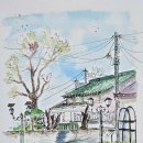 초록정원 이미지