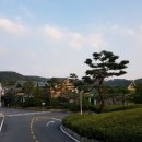 여주컨트리클럽 이미지