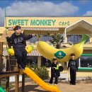 와우농장 | 제주 아이랑가볼만한곳 바나나농장체험 스위트 몽키카페