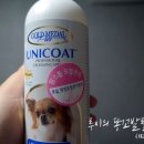 데일리 그루밍 이미지