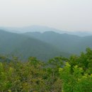 된불데기산(908.3m, 영월군 수주면 운학리) 산행기 이미지