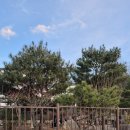 스테이백촌 이미지