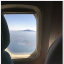 세화분식