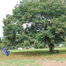 대한농장 이미지