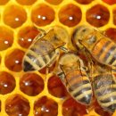 자연내과의원 이미지