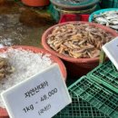 일곱번째고양이펜션