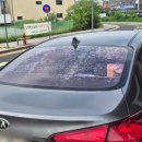 다정멀티샵 이미지