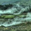 경희살힘한의원 이미지