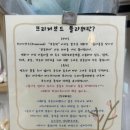 세실로 L | 춘천꽃집 나에게 주는 꽃선물, 인생네꽃