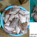 부부대게 이미지