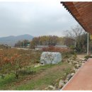 영성농장 이미지