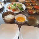 애견의 명가 궁 이미지