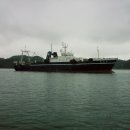 한성기업(주)  준성호 이미지