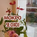 또야미