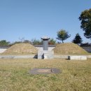 화완옹주 및 정치달 묘 이미지