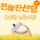 진선식품 | 백년농가 천혜진선향 구수한 누룽지향 백미 먹어본 찐 후기