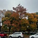 두류공원1공영주차장 이미지