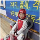 태권도전 태권도장 이미지