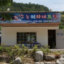 동강놀러와래프팅