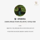 우리같이번지&요가