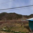 월계농장 이미지