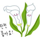 수능엄사 옆 이미지
