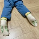 폴프렌즈 | 원사이즈 아기 양말 '폴프렌즈' 내돈내산 후기