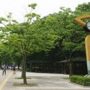 풍산노래광장 네이버블로그