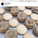 달롱가 이미지