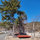 항도야영장 이미지