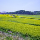 해제남초등학교 이미지