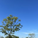 오천근린1공원 이미지