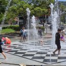 서어지공원 이미지