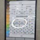 더미샵네일 이미지