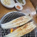 물금민물 네이버블로그