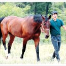 청학목장 이미지